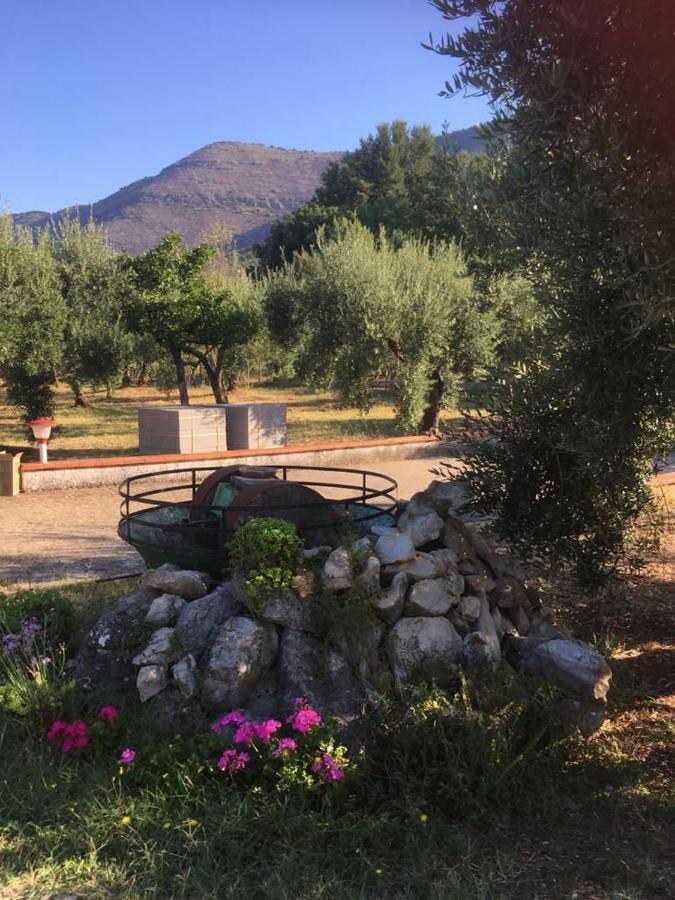 Casa Fra Gli Ulivi Di Giuseppe Vendégház Sonnino Kültér fotó
